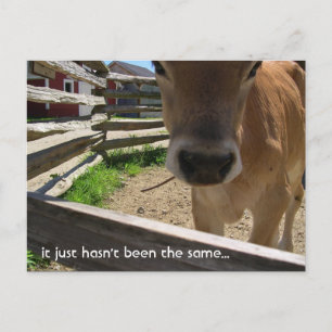 Uitnodiging van de Jongerengroep