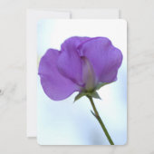 Uitnodiging van de Paarse partij Sweet Pea (Achterkant)