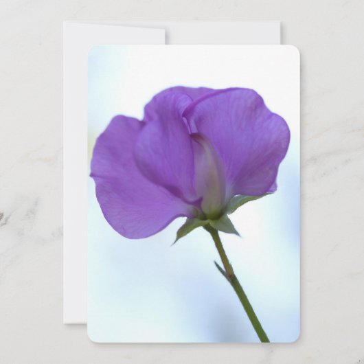 Uitnodiging van de Paarse partij Sweet Pea (Achterkant)