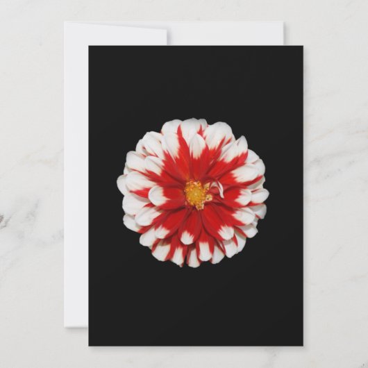 Uitnodiging van de rode en witte Floral Partij (Achterkant)