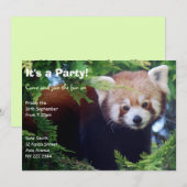 uitnodiging van de Rode Panda-partij (Voorkant / Achterkant)