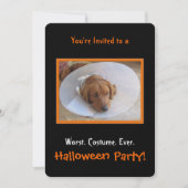 Uitnodiging van Dog Halloween Party (Voorkant)