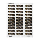 Uitnodiging van Leopard Masquerade Mask & Pearls P Etiket (Full Sheet)