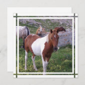 Uitnodiging verf paard (Voorkant / Achterkant)