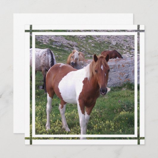 Uitnodiging verf paard (Voorkant / Achterkant)