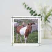 Uitnodiging verf paard (Staand voorkant)