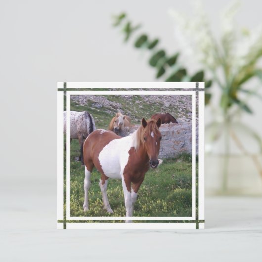 Uitnodiging verf paard (Staand voorkant)