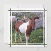 Uitnodiging verf paard (Voorkant)