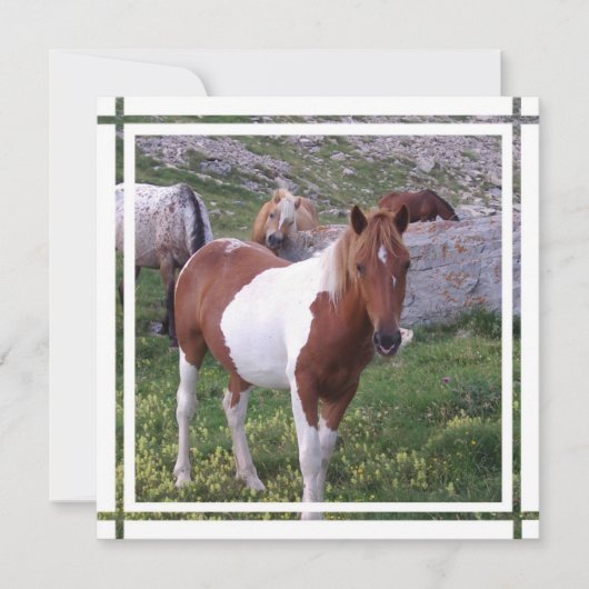 Uitnodiging verf paard (Voorkant)