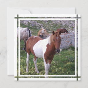 Uitnodiging verf paard