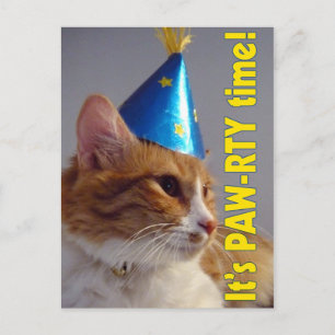Uitnodiging verjaardagsfeest PAW-RTY Kat Ansichtka Briefkaart