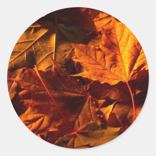 Uitnodiging voor aangepaste afdichting voor racewe ronde sticker (Voorkant)