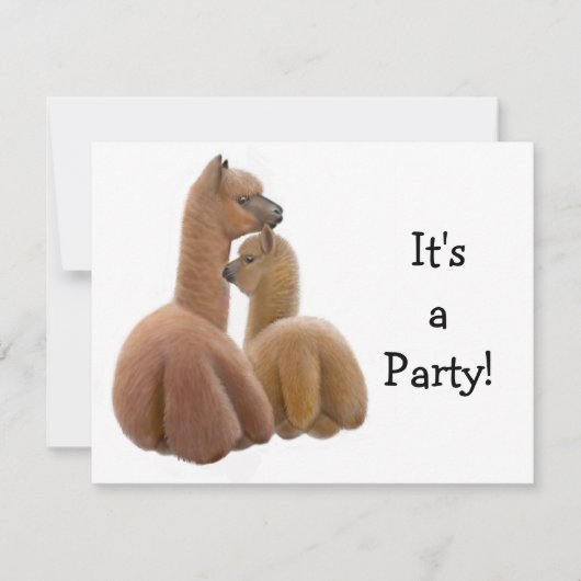Uitnodiging voor Alpaca Buddies (Voorkant)