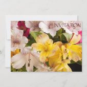 Uitnodiging voor Alstroemeria (Peruvian Lily) (Voorkant)