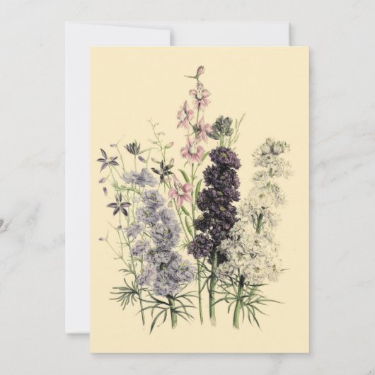 Uitnodiging voor charmante geschilderde tuin bruid (Achterkant)