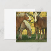 Uitnodiging voor conceptpaarden van Palomino (Voorkant / Achterkant)