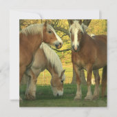 Uitnodiging voor conceptpaarden van Palomino (Voorkant)