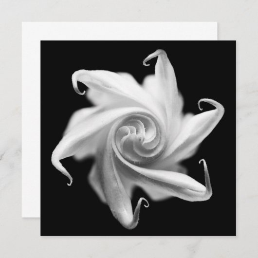 uitnodiging voor datura flower flower bud (Voorkant / Achterkant)