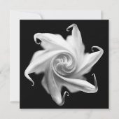 uitnodiging voor datura flower flower bud (Voorkant)