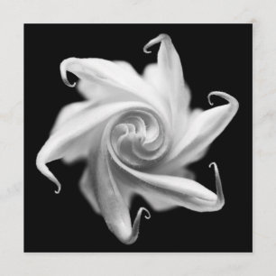 uitnodiging voor datura flower flower bud