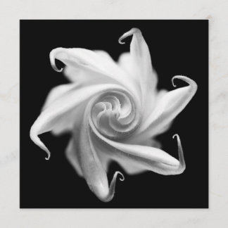 uitnodiging voor datura flower flower bud