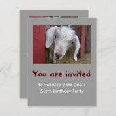 Uitnodiging voor de wedstrijd voor geit (Voorkant / Achterkant)