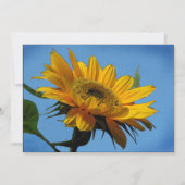 Uitnodiging voor de zomerse partij (Voorkant)