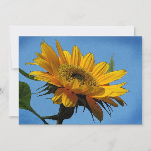 Uitnodiging voor de zomerse partij (Voorkant)