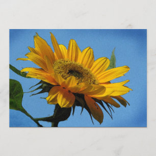 Uitnodiging voor de zomerse partij