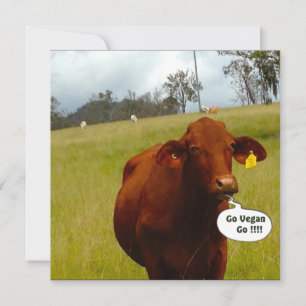 Uitnodiging voor diner Vegan