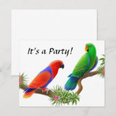 Uitnodiging voor eclectus Birds (Voorkant / Achterkant)