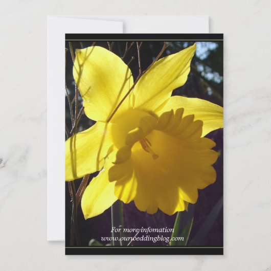 uitnodiging voor een bruiloft met zonnebloemen (Achterkant)