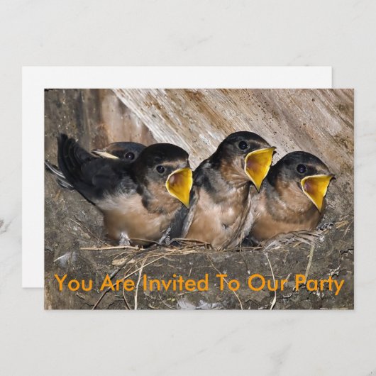 Uitnodiging voor een zangfeestje (Voorkant / Achterkant)