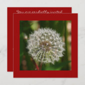 Uitnodiging voor een zomerverjaardagsfeestje (Voorkant / Achterkant)