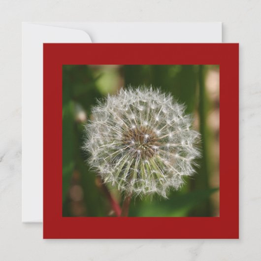 Uitnodiging voor een zomerverjaardagsfeestje (Voorkant)