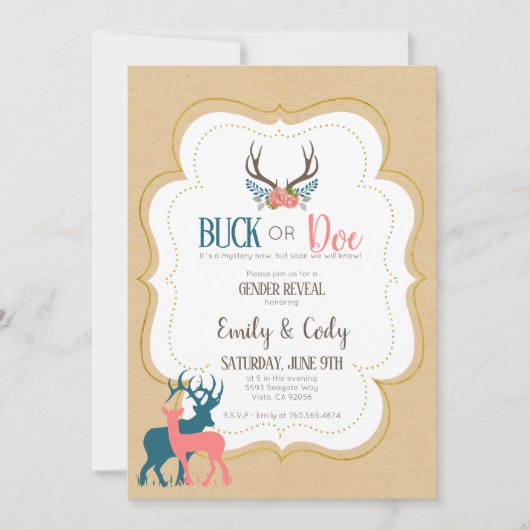 Uitnodiging voor geslacht bekendmaking feestje bab (Voorkant)