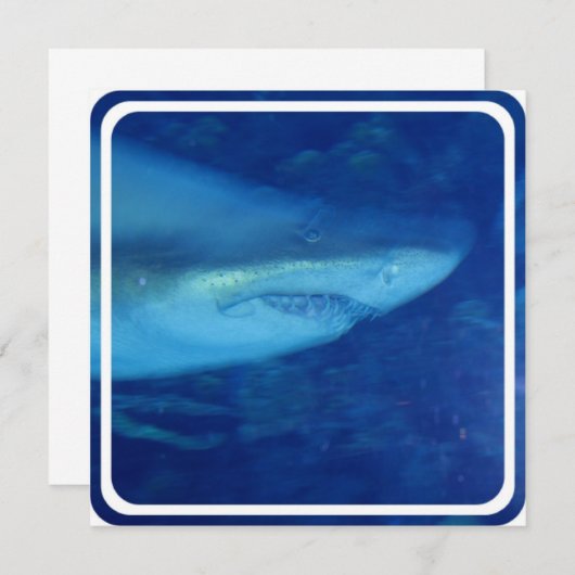 Uitnodiging voor grote witte haai (Voorkant / Achterkant)