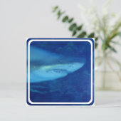 Uitnodiging voor grote witte haai (Staand voorkant)