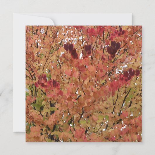 Uitnodiging voor herfstfeest (Achterkant)