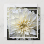 uitnodiging voor het bruiloft van witte dahlia (Achterkant)