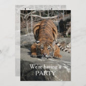 uitnodiging voor het forelleren van tijger (Voorkant / Achterkant)