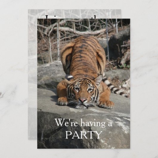 uitnodiging voor het forelleren van tijger (Voorkant / Achterkant)