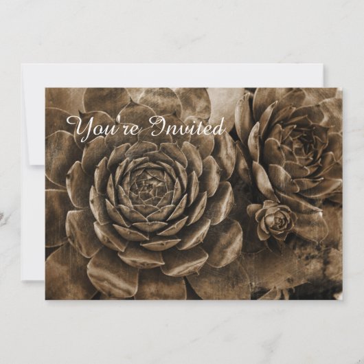 Uitnodiging voor het succulent Baby shower van kip (Voorkant)