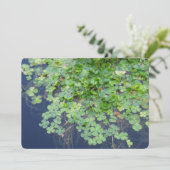 Uitnodiging voor Ierse lente- en uitwijkwedstrijd (Staand voorkant)