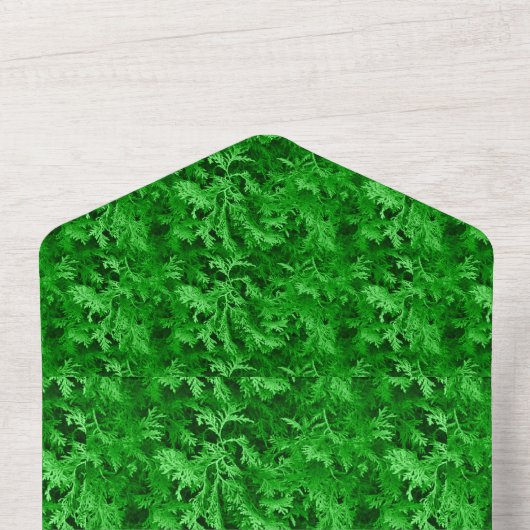 Uitnodiging voor kerstfeestdagen (Binnenkant top)