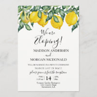 Uitnodiging voor Lemons Elopement receptie