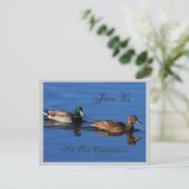 Uitnodiging voor Mallard Couple (Staand voorkant)