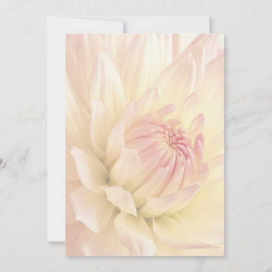 Uitnodiging voor Moederdag Brunch Dahlia (Achterkant)