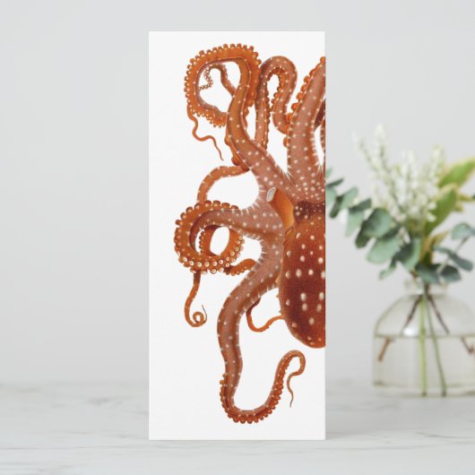 uitnodiging voor octopus (Staand voorkant)