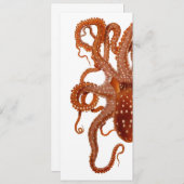  uitnodiging voor octopus (Voorkant / Achterkant)